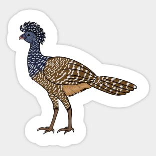 Great curassow bird cartoon illustration Sticker